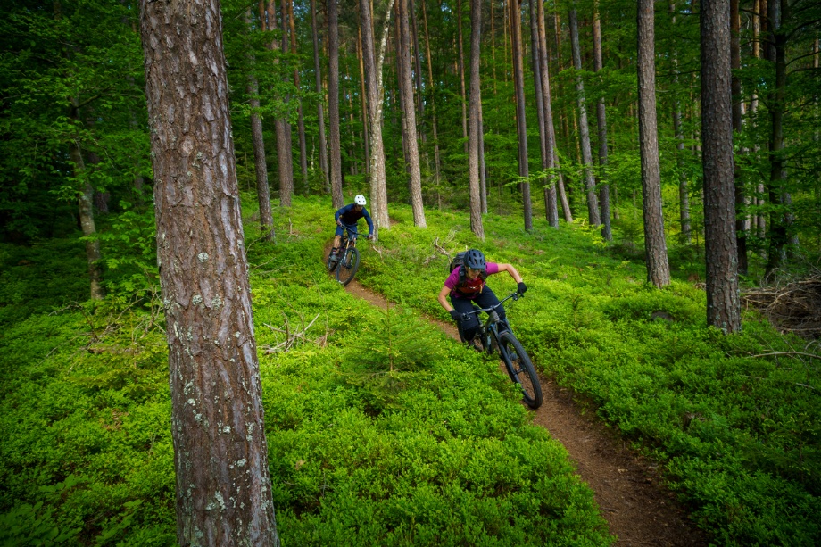 playing sports safely with braces, People cycling in a forest